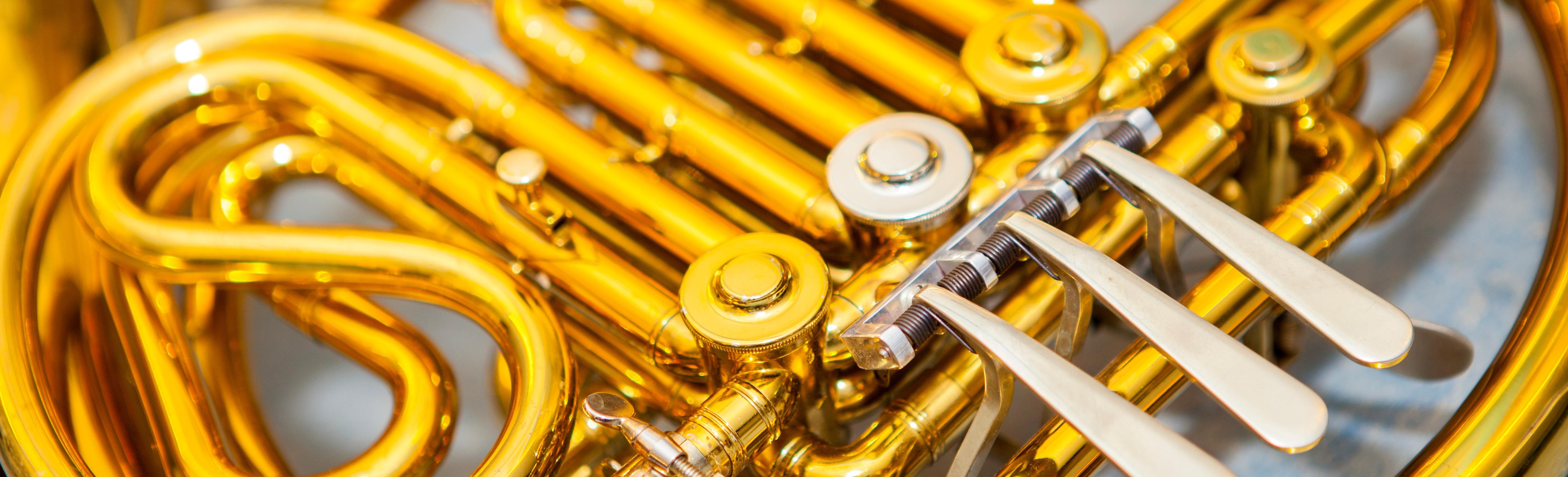 Närbild på valthorn